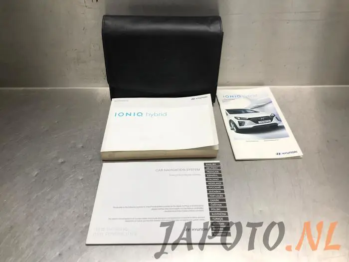Instrucciones(varios) Hyundai Ioniq