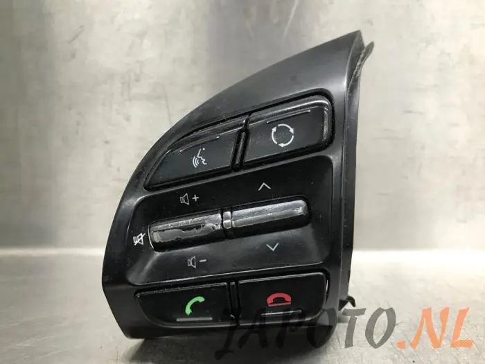 Interruptor de mando de volante Hyundai Ioniq